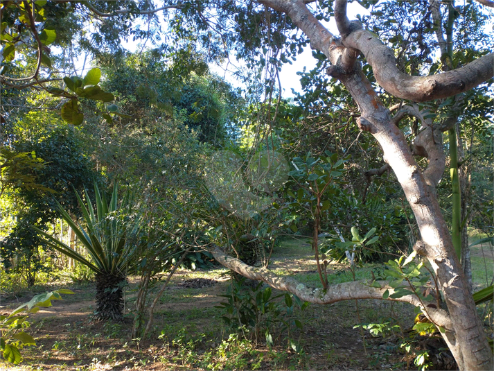 Venda Terreno Armação Dos Búzios Vila Verde REO1060950 13