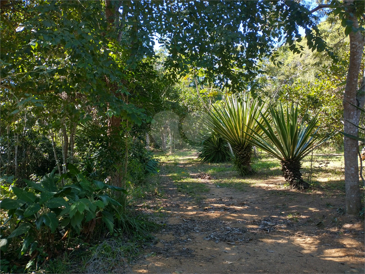 Venda Terreno Armação Dos Búzios Vila Verde REO1060950 12