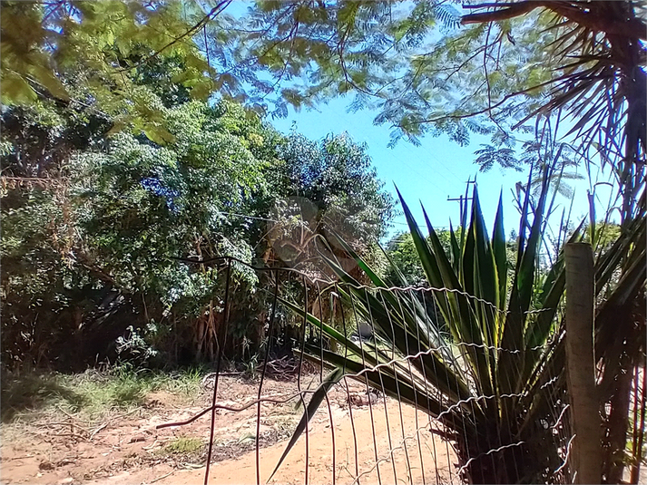Foto REO1060950