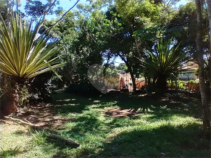 Foto REO1060950