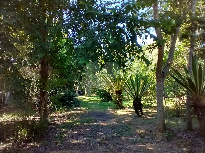 Foto REO1060950
