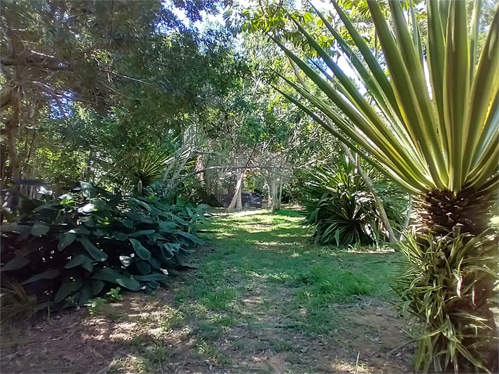 Foto REO1060950