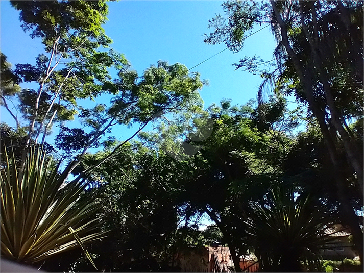 Foto REO1060950