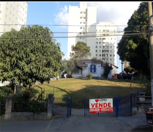 Foto REO1061004