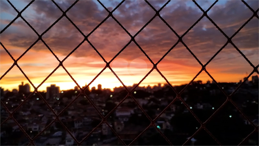 Foto REO1061072