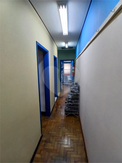 Foto REO1061089