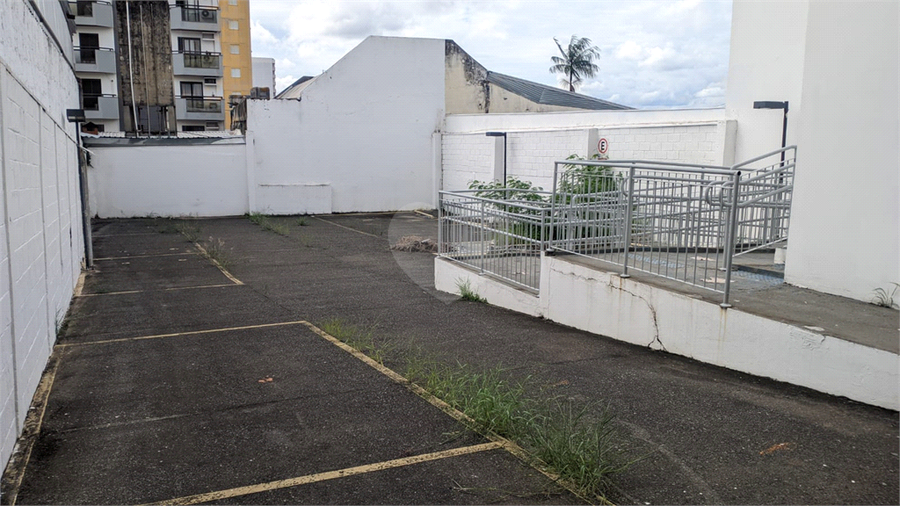 Foto REO1061142