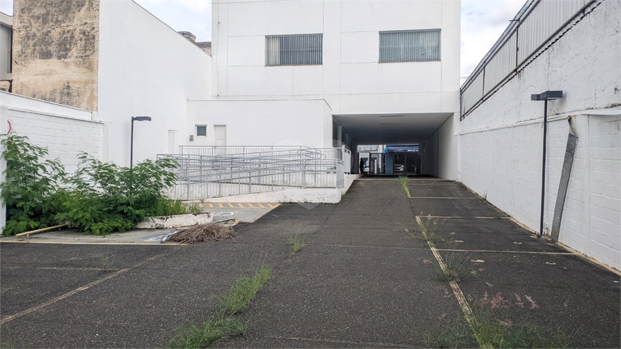 Foto REO1061142