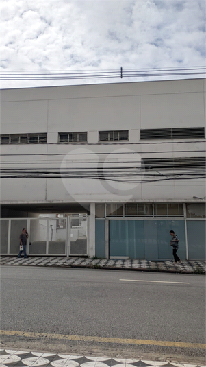 Foto REO1061142