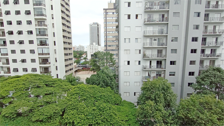 Foto REO1061195