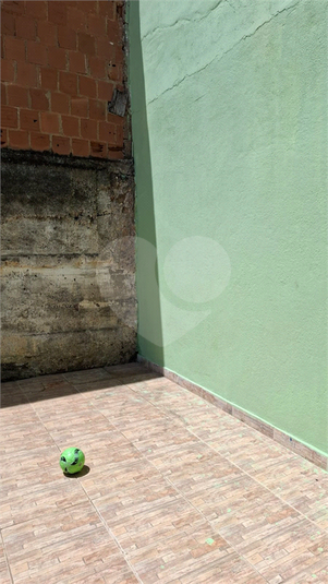Foto REO1061285