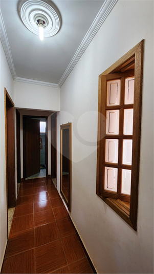Foto REO1061287