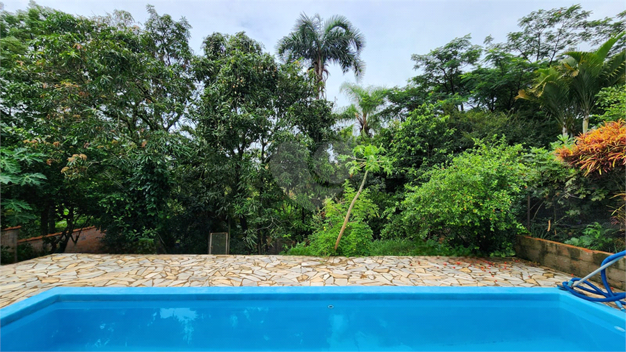 Foto REO1061287