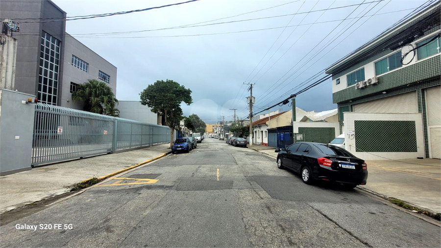 Foto REO1061328