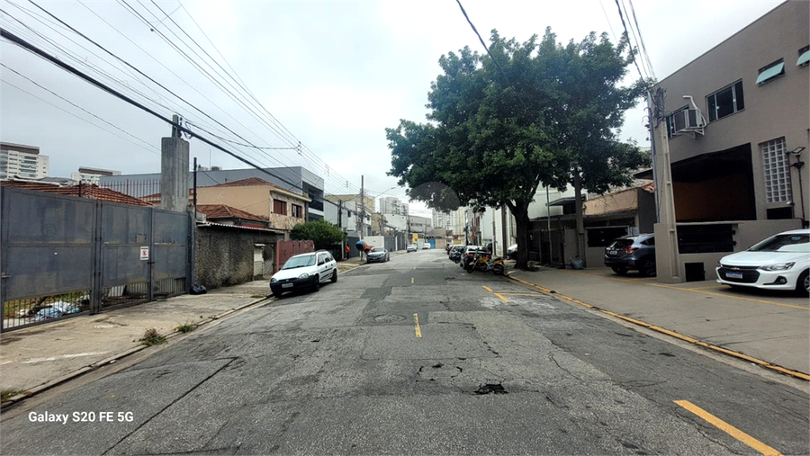 Foto REO1061328