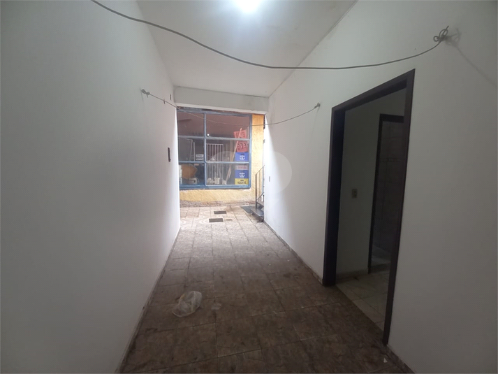 Foto REO1061342