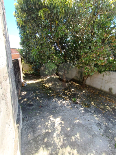 Foto REO1061377