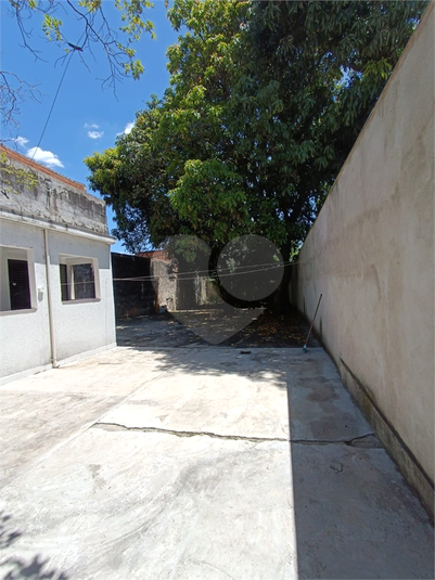 Foto REO1061377