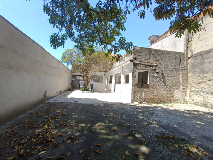 Foto REO1061377