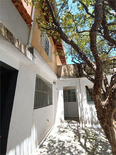 Foto REO1061377