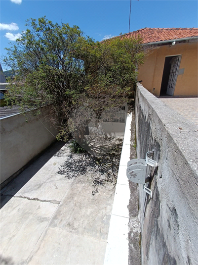 Foto REO1061377