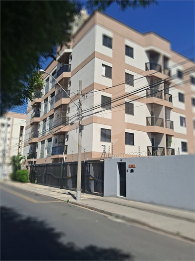 Foto REO1061379