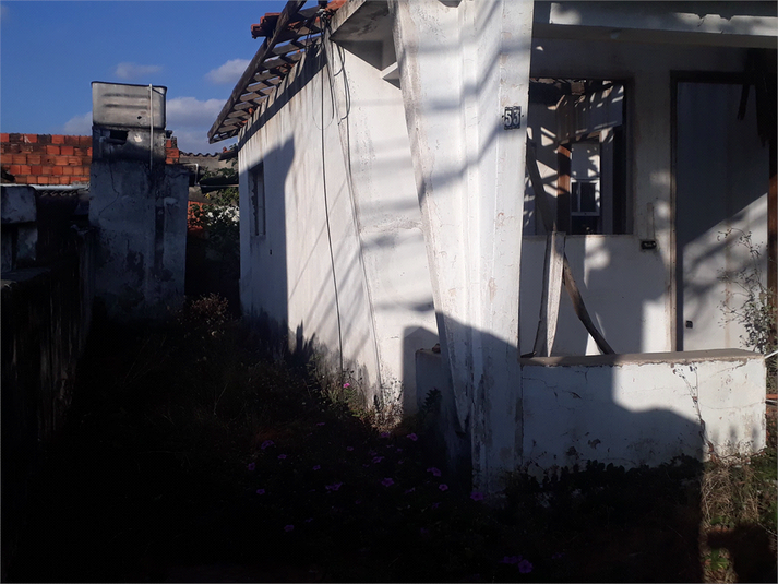 Foto REO1061382