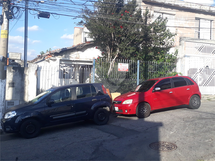Foto REO1061382