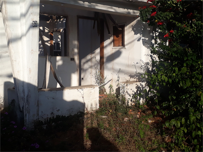 Foto REO1061382