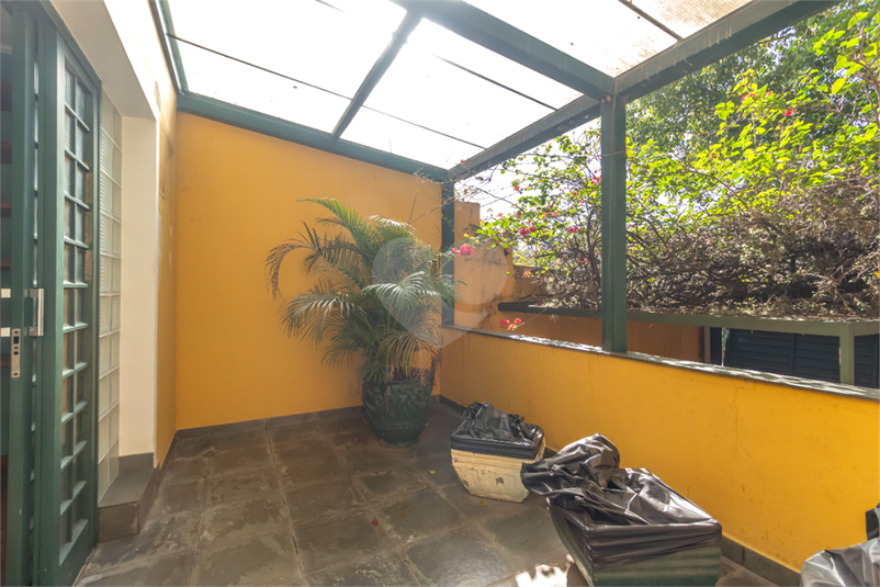 Foto REO1061439