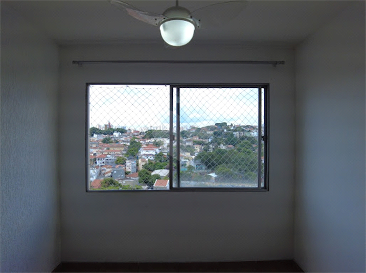 Foto REO1061453