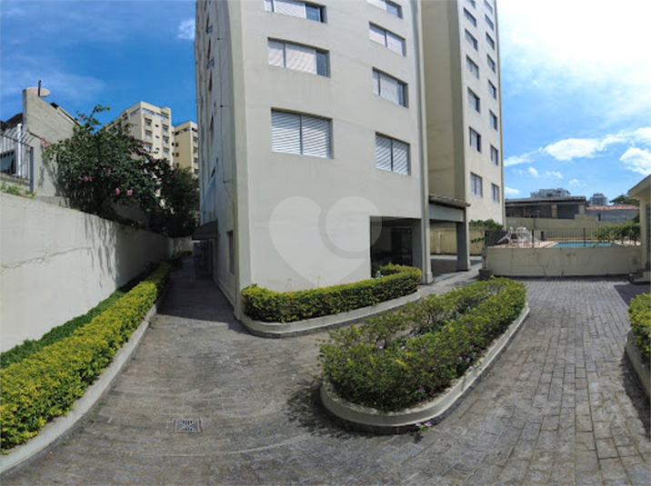 Foto REO1061453