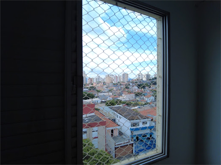 Foto REO1061453