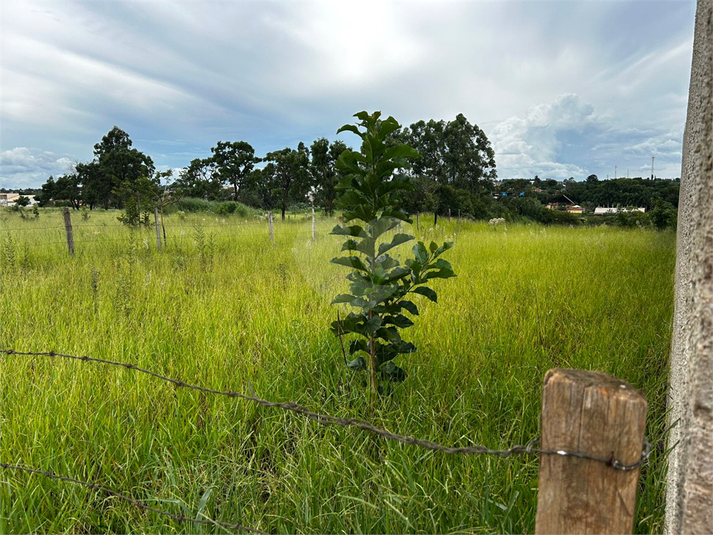 Venda Terreno Itapetininga Vila Rubens REO1061527 3