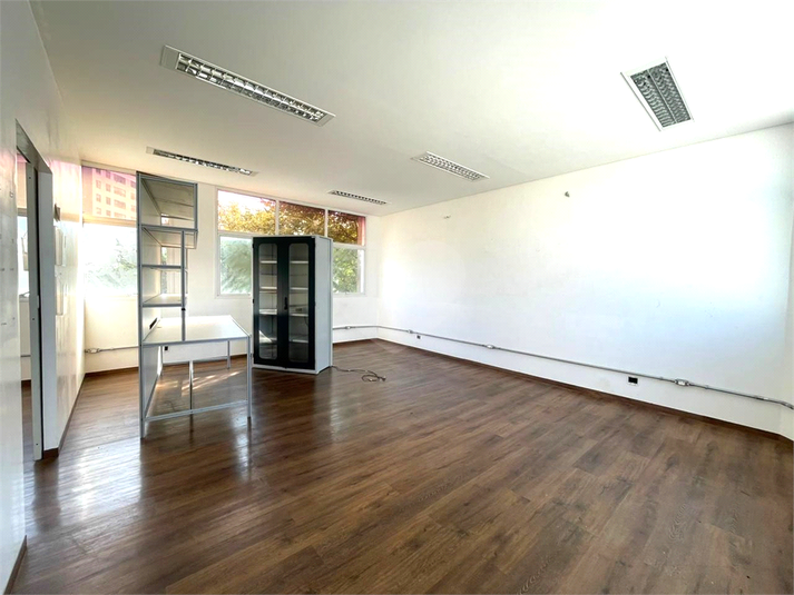 Foto REO1061538