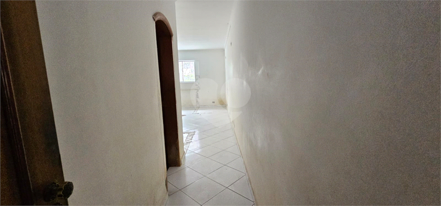 Foto REO1061546