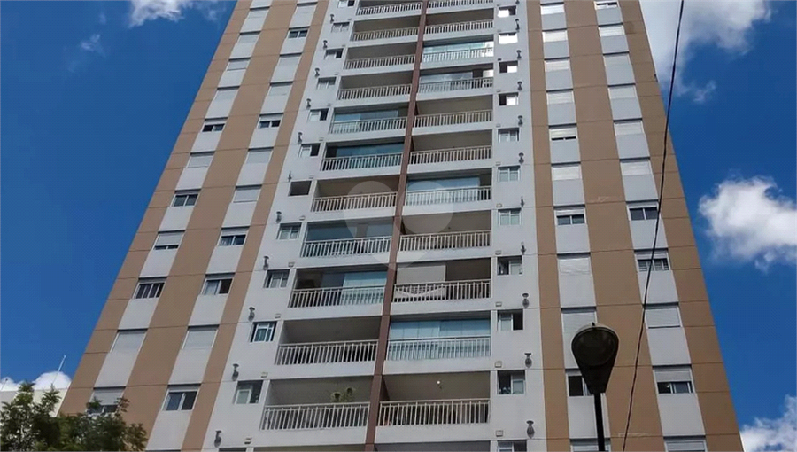 Foto REO1061547