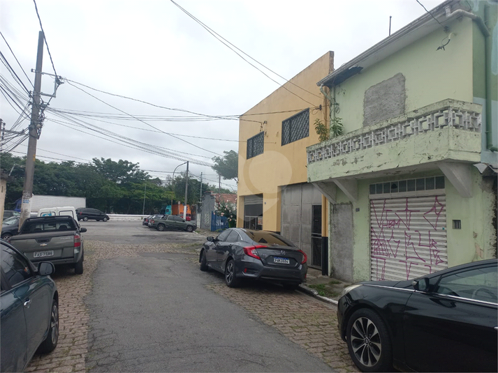Foto REO1061558