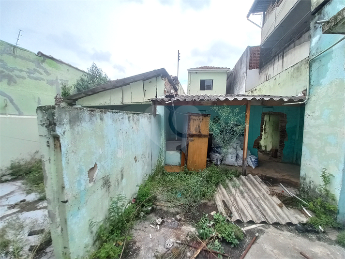 Foto REO1061558