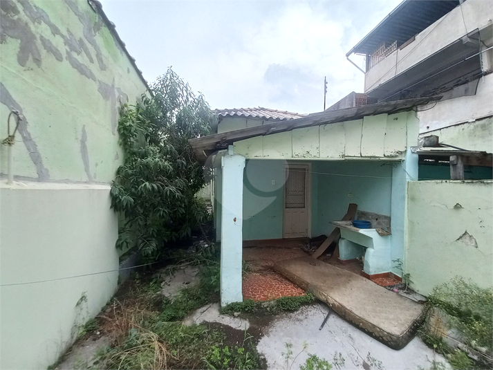 Foto REO1061558