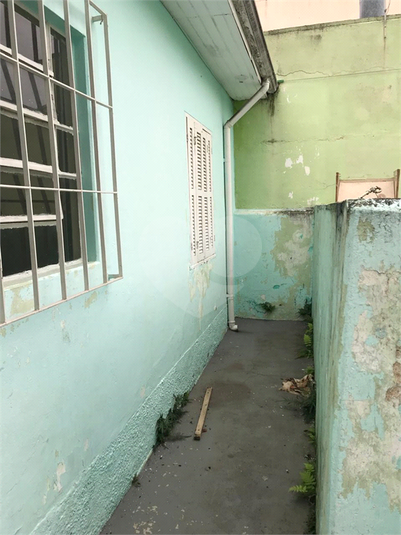 Foto REO1061558
