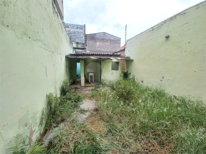 Foto REO1061558