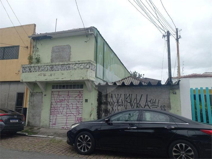 Foto REO1061558