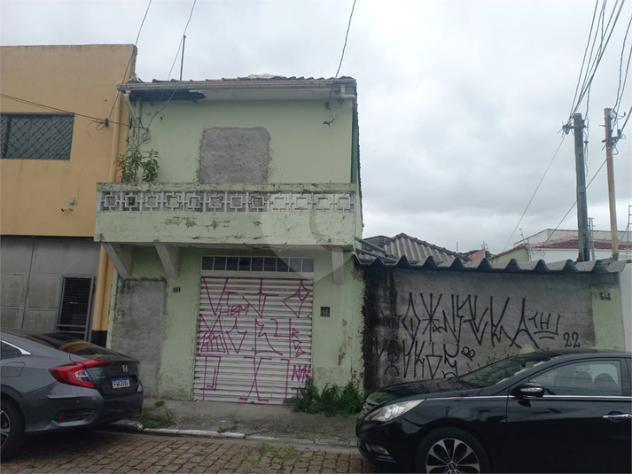 Foto REO1061558