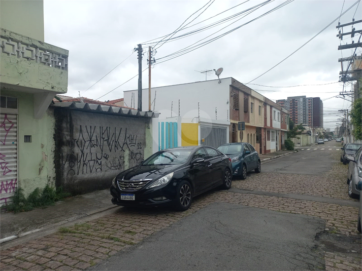 Foto REO1061558