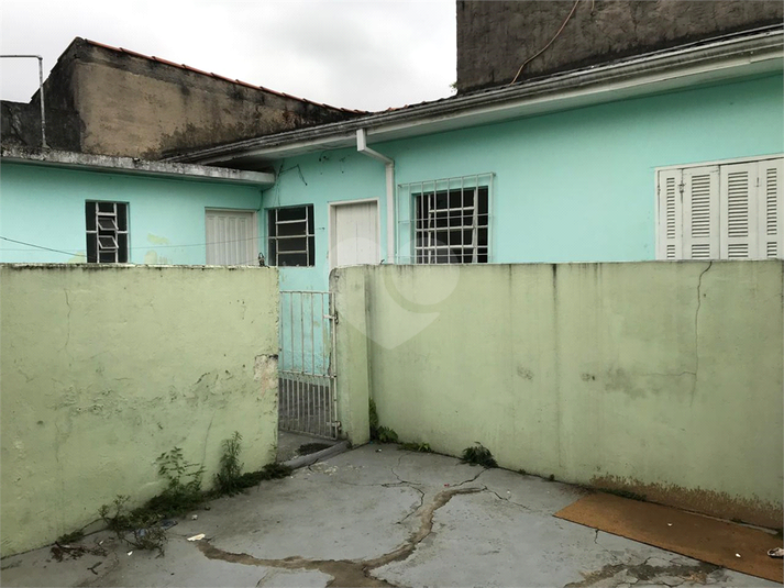 Foto REO1061558