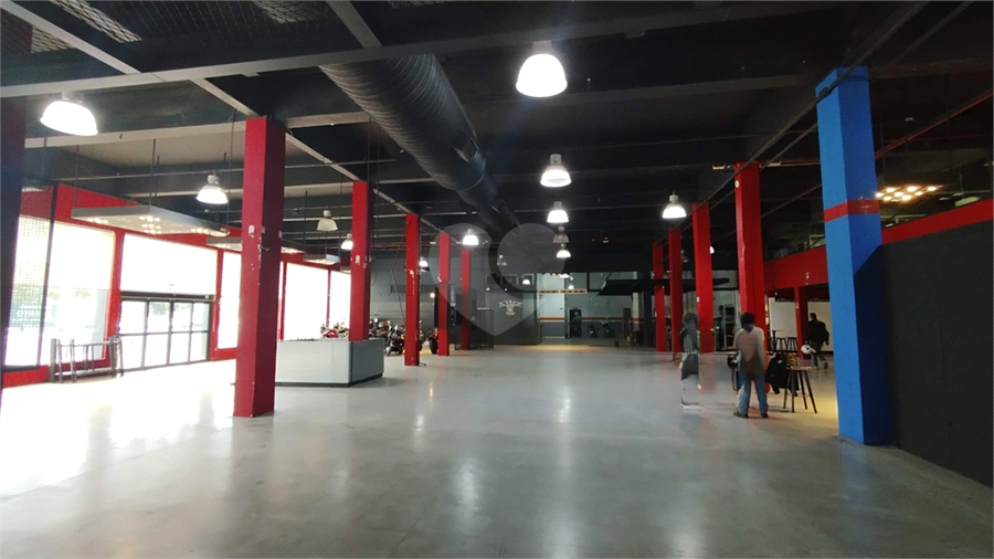 Foto REO1061631