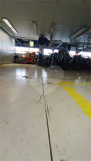 Foto REO1061631