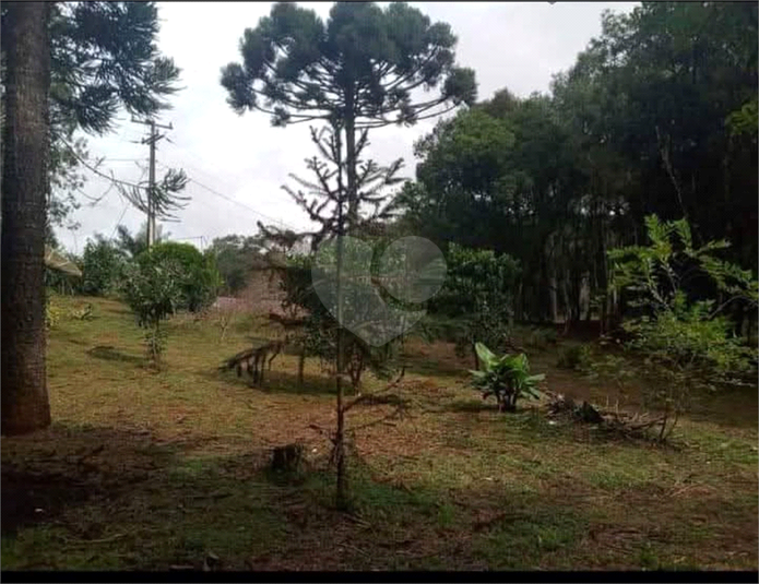 Venda Chácara Quitandinha Centro REO1061641 9