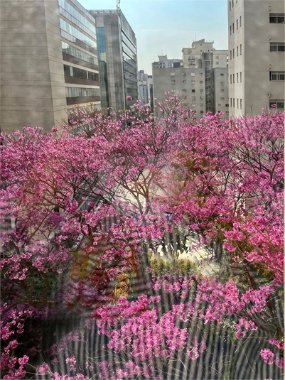 Foto REO1061644
